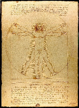 Vitruvian Man 1