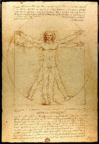 Vitruvian Man 1