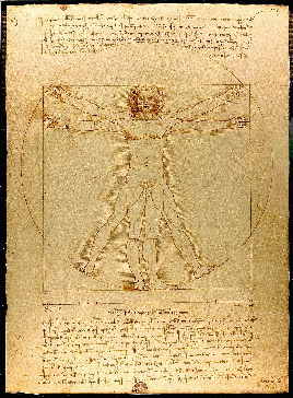Vitruvian Man 1 Vitruvian Man 1